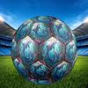 1pc Glass Dolphins Theme Soccer Ball Football, Size 5, Lightweight PVC, Outdoor Training Soccer Ball,Sports Gift t61432