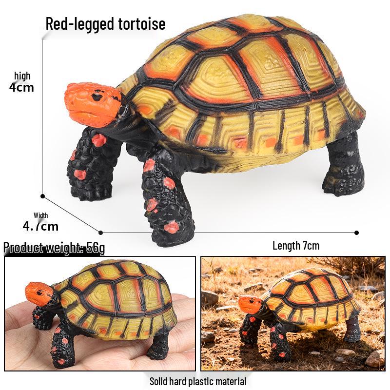 Children's Cognitive Marine Animal Models: Sea Turtle and Tortoise Toys