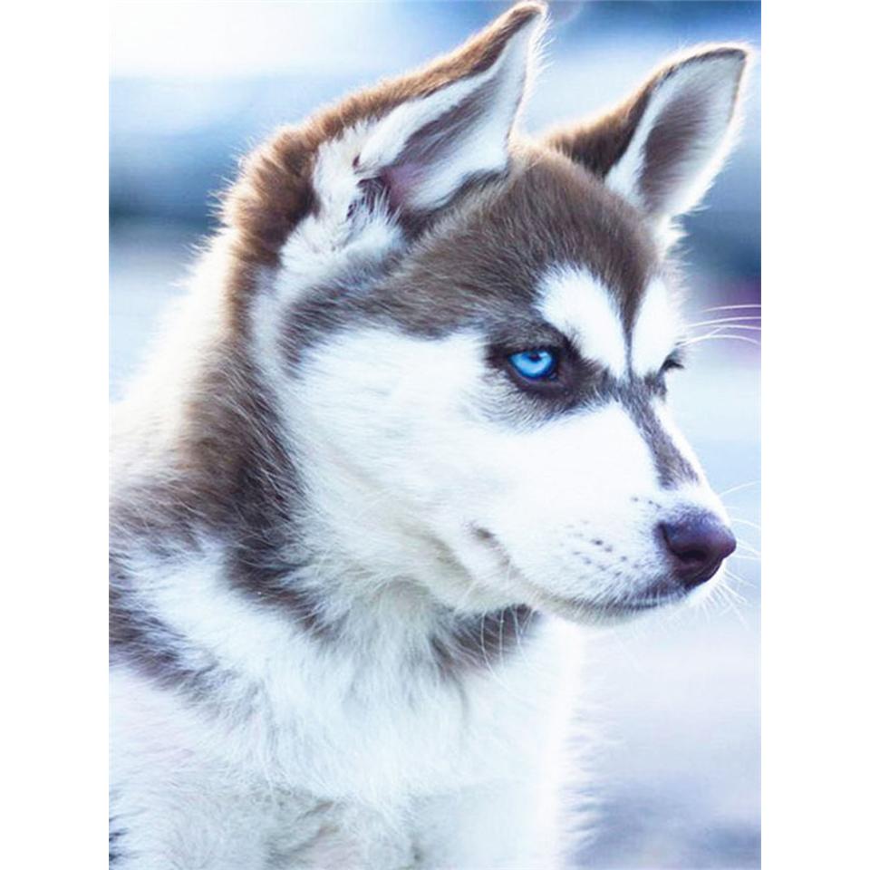 5D DIY Animals Diamond Painting Husky Pictures Full Diamond Embroidery Rhinestone Mosaic Cross Stitch Kit Furniture Decoration