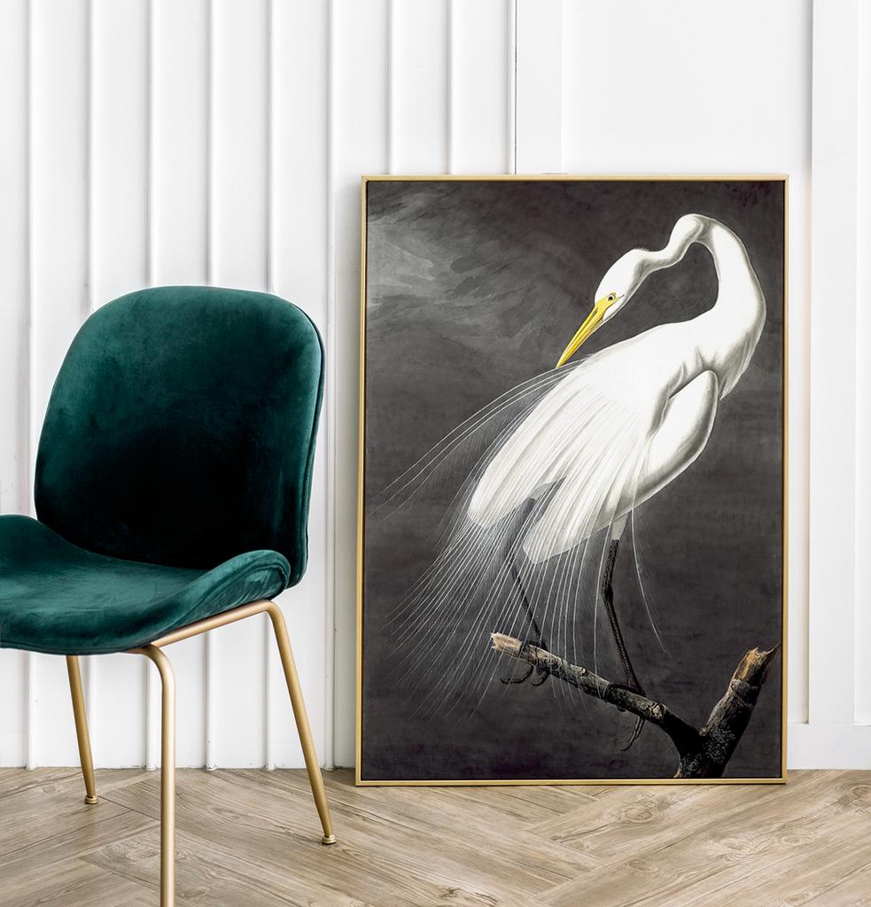 Poster White Bird Alba