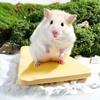 Portable Hamster Ice Pad Ceramics Sugar Glider Cooling Mat Portable Pet Cooling Pad Cage Mat
