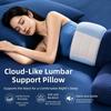 Comfortable Sleep Waist Supporter Breathable Lower Back Protected Pad Lumbar Support Pillow Office