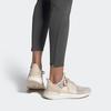 Adidas Wmns UltraBoost 19 'Brown' Women's G27492