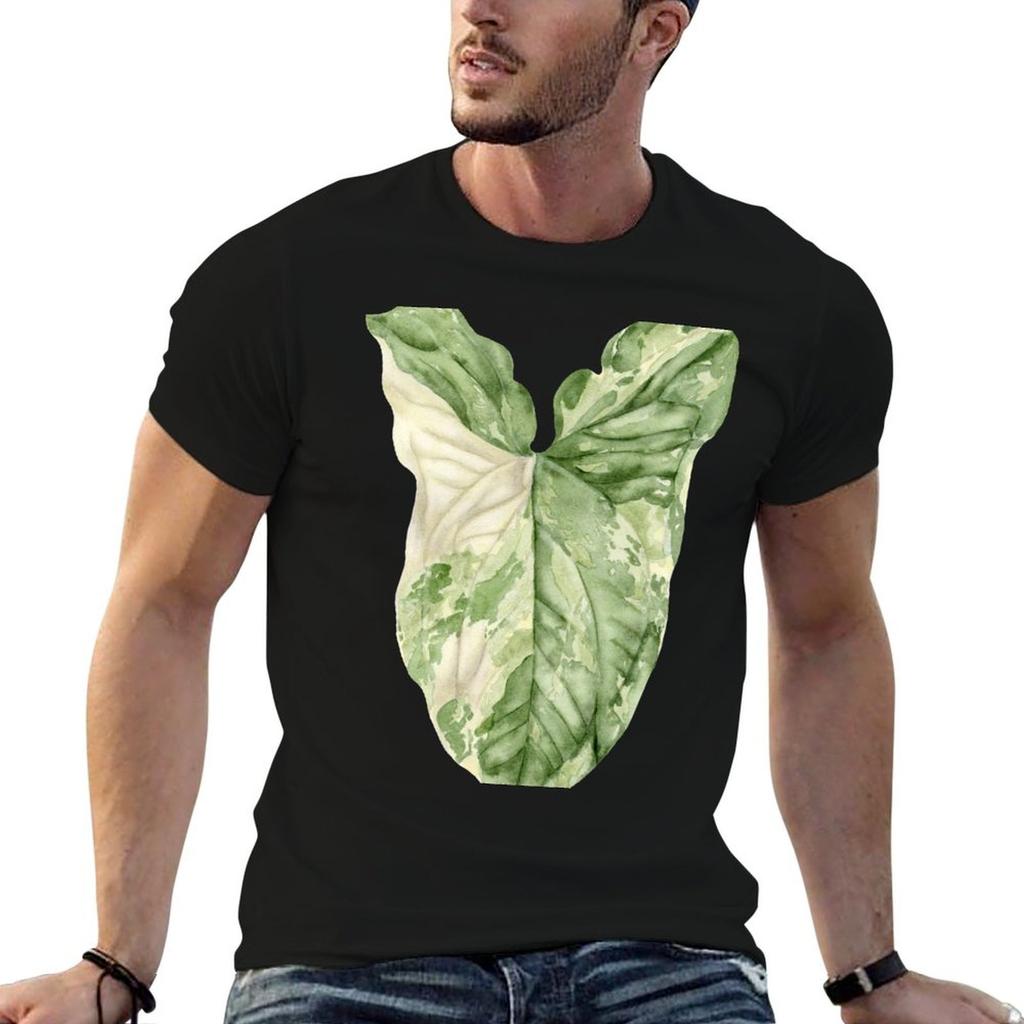 Syngonium Albo Variegata Tshirt Unisex T Shirt Cotton High Quality Essential T Shirt Anime T Shirts Oversize Tshirt