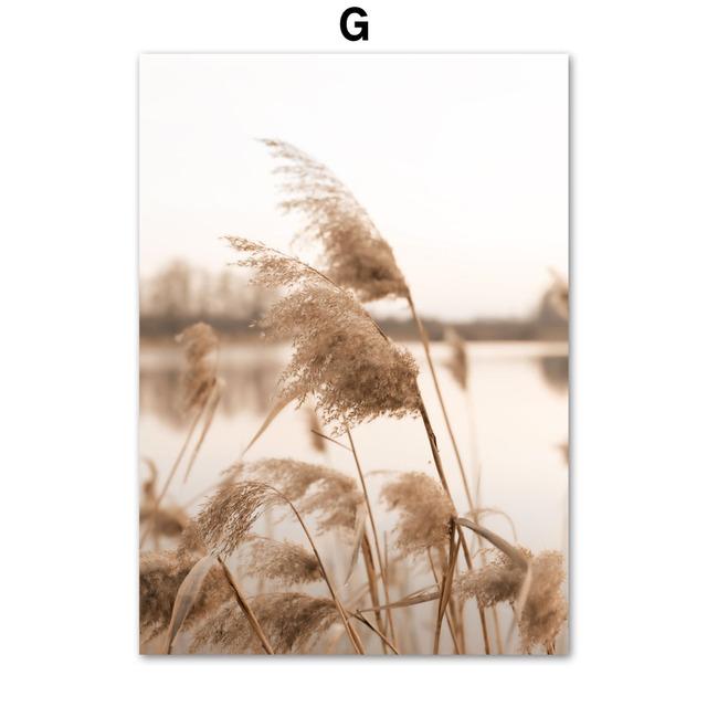 Reed Dandelion Flower Shell Sand Forest Wall Art Canvas Painting Nordic Posters And Prints Wall Pictures For Living Room Decor