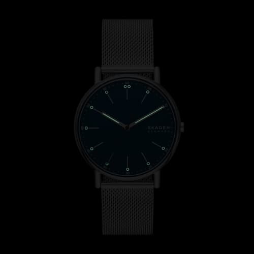 Skagen Signatur SKW6904 Men's Silver Watch