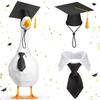 User Friendly Efficient Graduation Accessories Black Cap and Bowtie Set Sustainable Party Decorations Polyester Materials