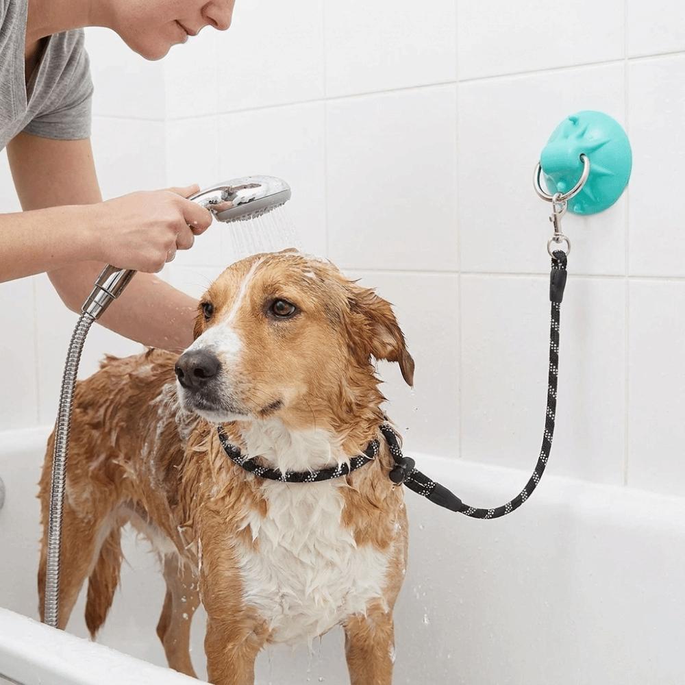 Anti Movement Dog Bathing Tether Suction Cup Pet Shower Fixed Collar  Pet Bath Accessories