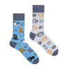 Cats - Colorful Socks 44-46