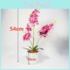 Planta Artificial Phalaenopsis em Vaso Florido com PVC e Moldagem por Injeção para Decoração de Mesa de Escritório