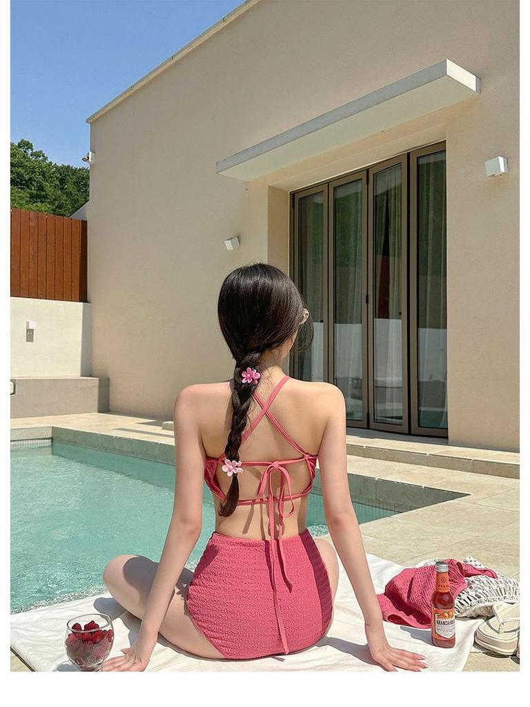 Women's Japanese & Korean Fashion Swimsuit: Simple, Sexy Skirt Style, Small Bust Enhancement, Conservative Beachwear.