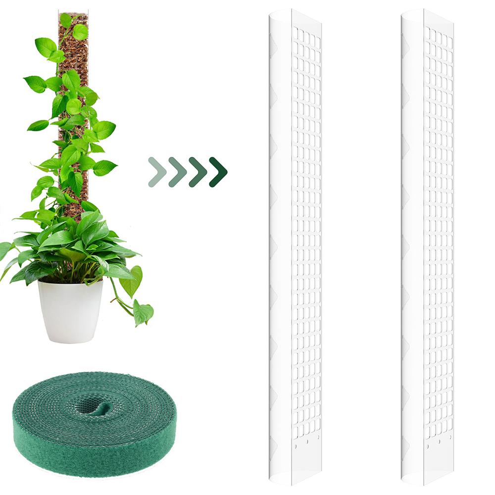 

2/4/6 шт. Опора для растений из мха Пластиковая палка-опора для растений Многоразовая прозрачная опора для растений Садовый аксессуар для вьющихся растений