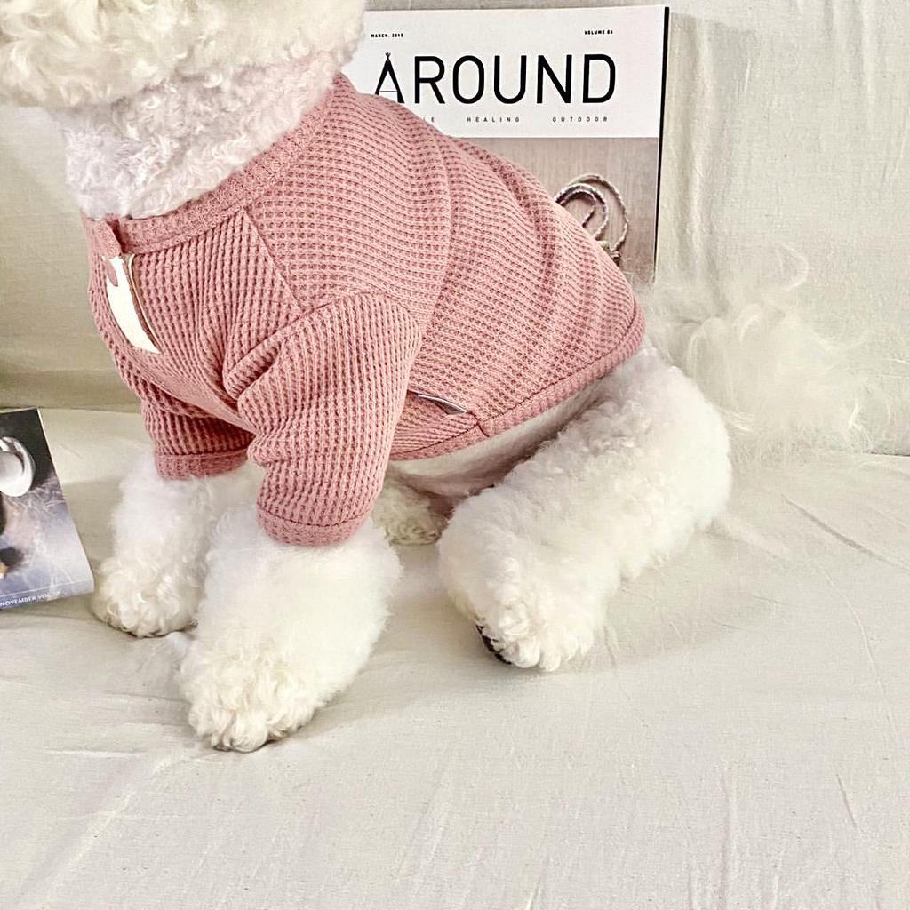 Korean Style Autumn/Winter Hoodie for Dogs - Two-Legged Teddy & Pomeranian Apparel