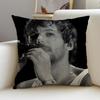 SLouis Tomlinsons Cushion Cover Natural Linen Pillowcase Set AllinOne Decor for Sofa Bedroom  Chair