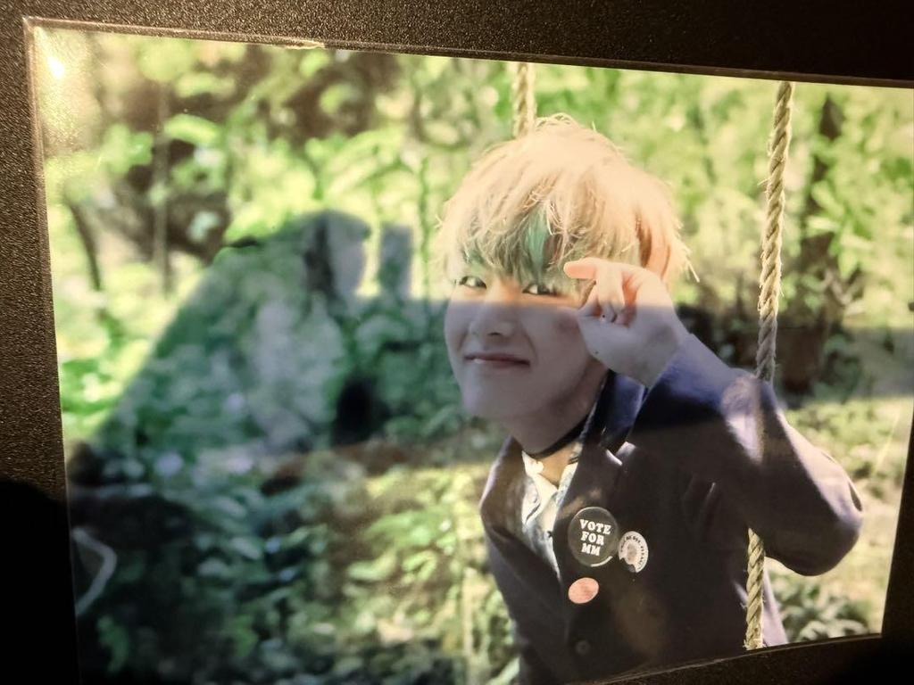 [USED] BTS V - Butterfly Dream Exhibition Photo