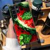 Watermelon Summer Fruit Cases Phone Case for Samsung Galaxy S26 Ultra S25 Edge S24 S23 FE S21 Plus S20 S22 S10 Cover TPU Capa Sh