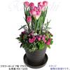 KANEYOSHI Flower Road Braun 7 Blumentopf mit stilvollem Mikawa-Ware-Topf mit Untersetzer Nr. Teller, Loch, Keramik, Biskuit, Braun, Nein. 7,