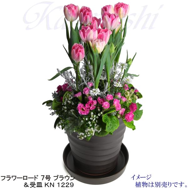 KANEYOSHI Flower Road Braun 7 Blumentopf mit stilvollem Mikawa-Ware-Topf mit Untersetzer Nr. Teller, Loch, Keramik, Biskuit, Braun, Nein. 7,