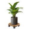 Wood Rolling Plant Stand Moveable Heavy Duty Lockable Thickened Plant Roller Base with Wheels for Indoor Outdoor Garden