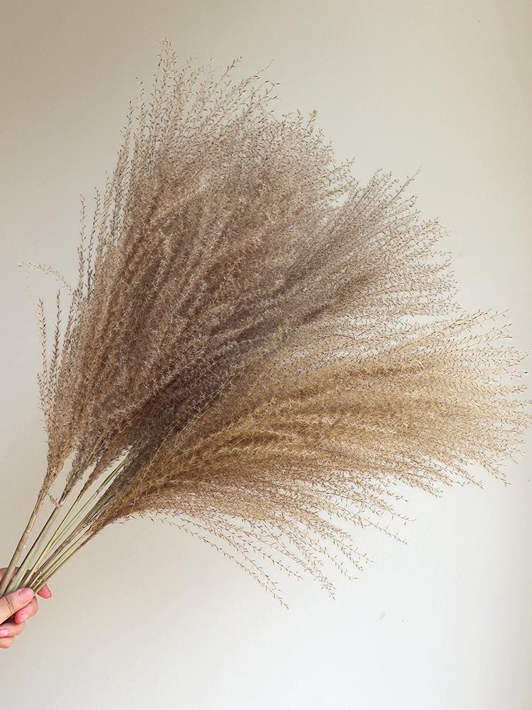 Wabi-sabi Dried Flower Arrangement: Reed, Pine Cones, Cotton, Wheat, Poppy Bouquet