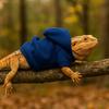 Ferret Hoodie Warm Lizards Clothes Solid Color Windproof Lizard Harness Vest Soft Bearded Dragon Hoodie Photo Party