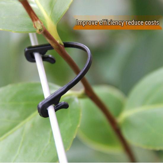 Grape Vine Branch Clip Hook