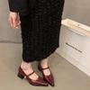 Pointed Small Leather Shoes Women's 2024 New Spring Thick Heels Low Heels High Heels Retro French Temperament Mary Jane Single Shoes