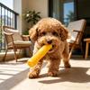 Dog Chew Stick Toy Squeaky Dog Teething Toy Textured Teeth Cleaning Dog Stick Toy for Aggressive Chewers