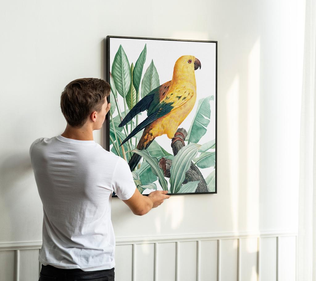 Poster Parrot Gold Plants In Black Frame