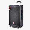 MALONE M10 Outdoor Bluetooth Trolley Speaker