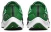 Nike Air Zoom Pegasus 38 Oregon Ducks DJ0840-001