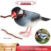Realistic Heartwood Finch Bird Model - Children's Cognitive Bonsai Home Decor Ornament