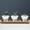 Cute Cartoon Succulent Flower Pot Simple Creative Personality Nordic Balcony Flower Pot Tabletop Plant
