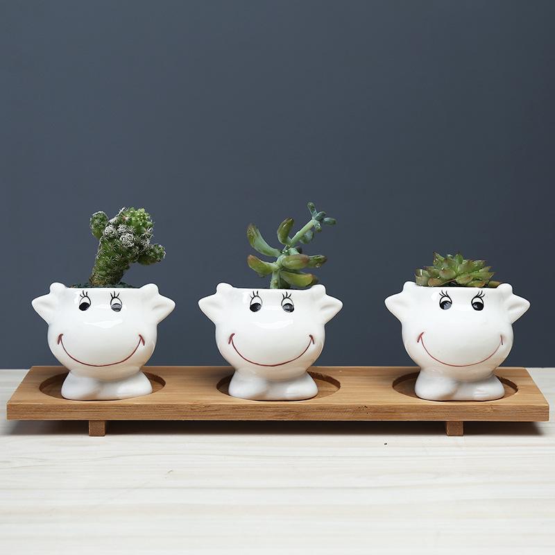 Cute Cartoon Succulent Flower Pot Simple Creative Personality Nordic Balcony Flower Pot Tabletop Plant
