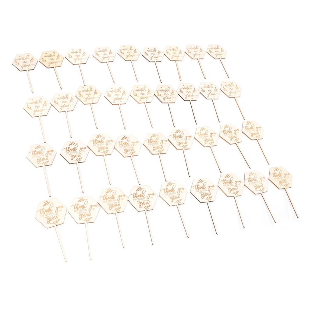 36 st Se mig växa Suckulentetiketter Säkra Miljövänliga Trä Sexkantiga Suckulentetiketter för Blomkruka