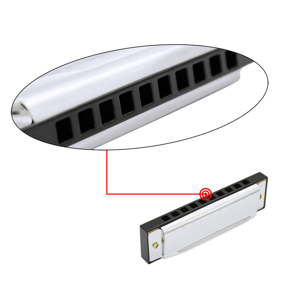 10 Holes 20 Tone Diatonic Blues Harmonica Key of C with Case for Beginner Children Silver