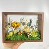 Decoração de casa – Molduras