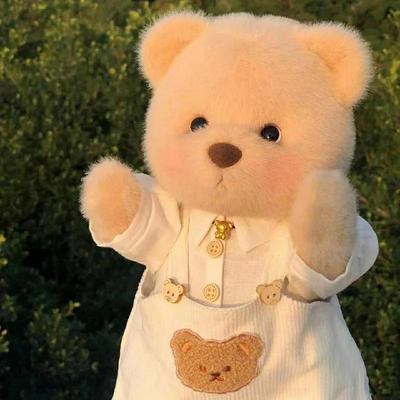 Oso de peluche original hecho a mano de 30 cm con ropa, peluche kawaii de Lina Bear, regalo de cumpleaños para niños y novias.