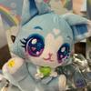[USED] NCTWISH Wishcat Plush Toy Yuushi Korea Sodanyan