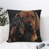 Dachshund Dog Square Pillow Cases Wiener Sausage Doxie Cushion Covers Awesome Zippered Decor Pillowcase for Living Room 45x45cm