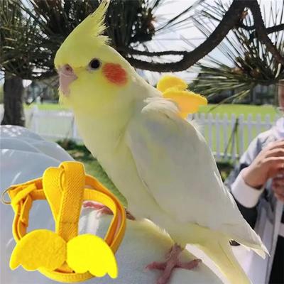Nastavitelný postroj s vodítkem pro papouška a ptáky Tréninkový postroj proti kousnutí Lano pro létání venku pro papoušky Kakadu Malé ptáky Potřeby
