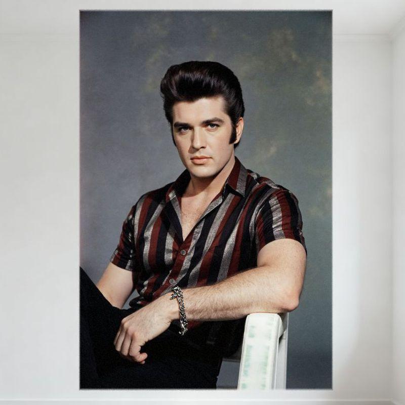 

Elvis Presley Style Pompadour Man Mid-20th Century Rock n Roll Metal Tin Sign Vintage Retro Wall Plaque for Bar Café Home Deco 20x30cm（7.8x11.8inch）