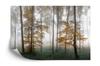 Photomural Forest In Fog Smooth Vinyl 180x120