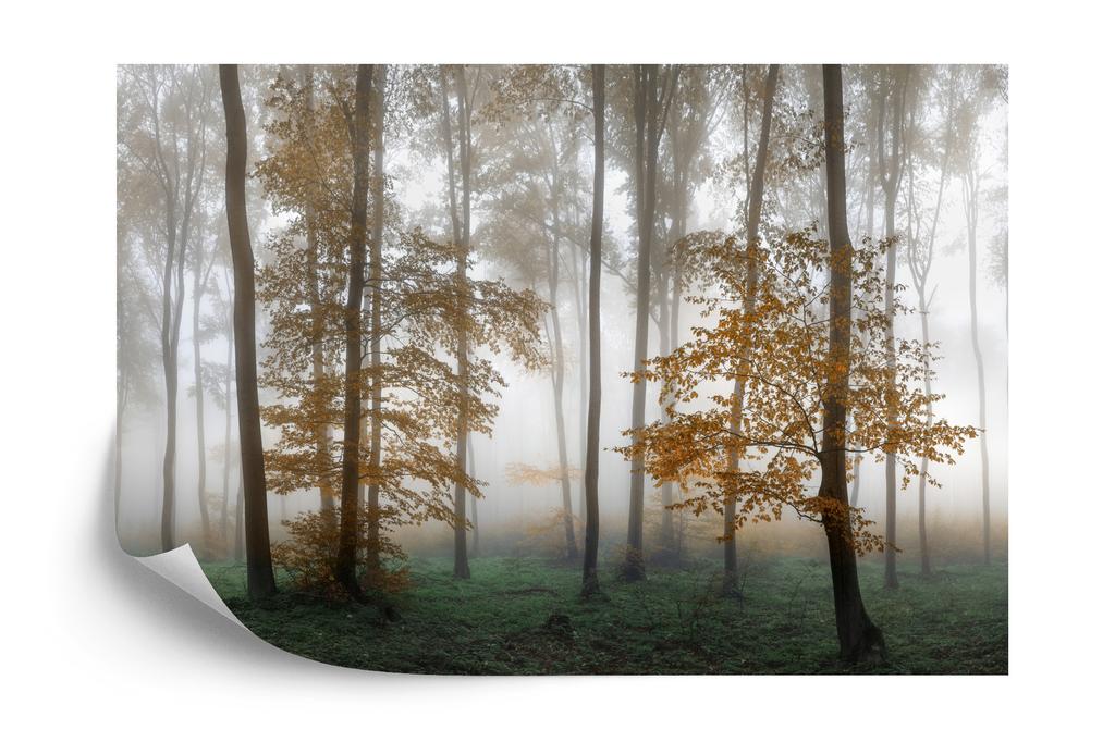 Photomural Forest In Fog Smooth Vinyl 180x120