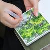 Cai Mo 300g Cotton Watercolor Sketchbook - Fine Grain, Thick, Blank Paper for Acrylics and Markers