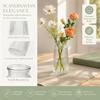 Ribbed Design Clear Flower Vase Nordic Style Flower Arrangement Cylinder Vases  Home Decoration