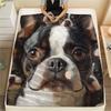Boston Terrier Pattern Flannel Blanket, High Quality Comfortable for All Seasons, Home Decor, Warmth and Comfort, Perfect for Gifts.