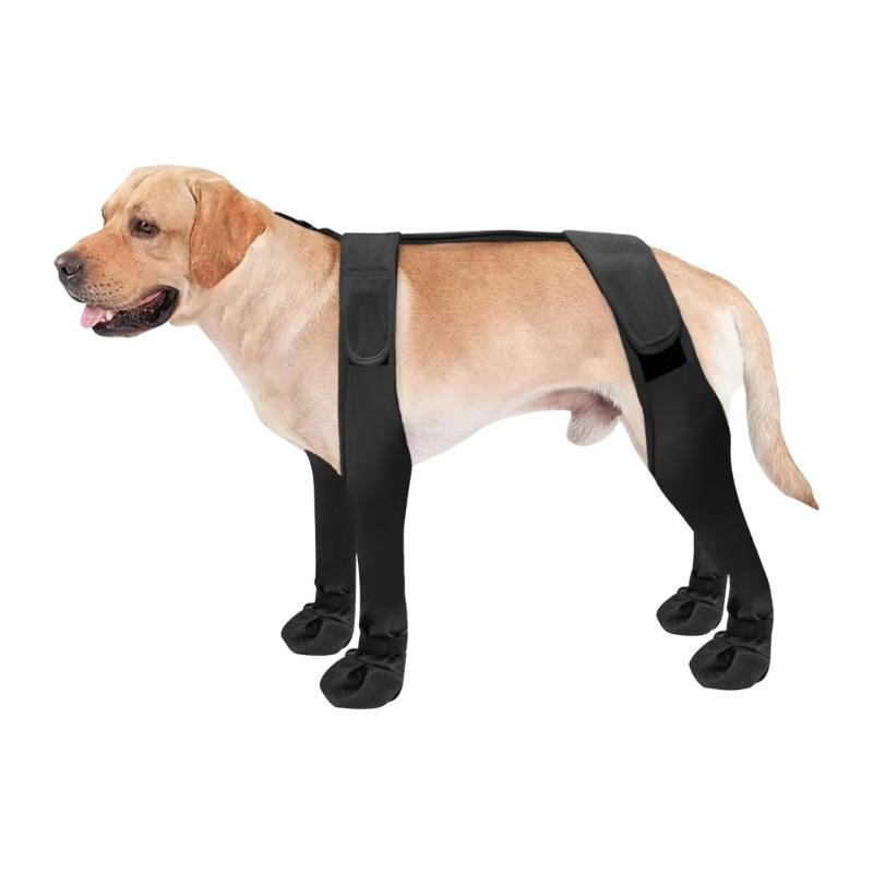 Haustier Hunde Leggings Geeignet für Große, Mittlere und Kleine Hunde Leggings Hosenträger Stiefeletten Winddicht und Wasserdicht Welpe