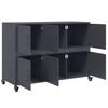 Sideboard Anthracite 100.5 X 39 X 72 Cm Steel