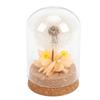 Real Dandelion Eternal Flower Natural Elegant Preserved Flower In Glass Dome for Bedroom Living Room Office